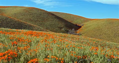 18 Best Things to Do in Lancaster, California