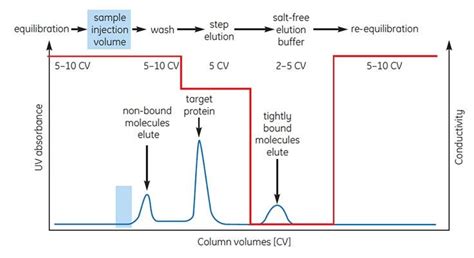 Selectivity and the Properties of a HIC Medium