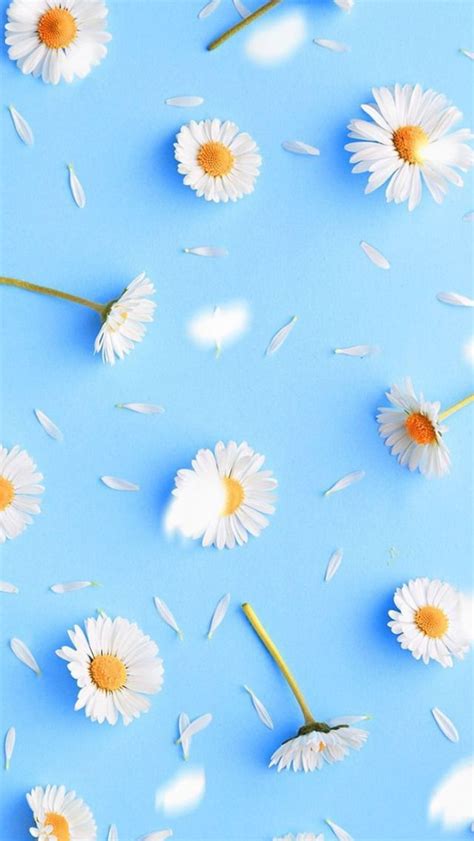 🔥 [30+] Cute Blue Floral iPhone Wallpapers | WallpaperSafari