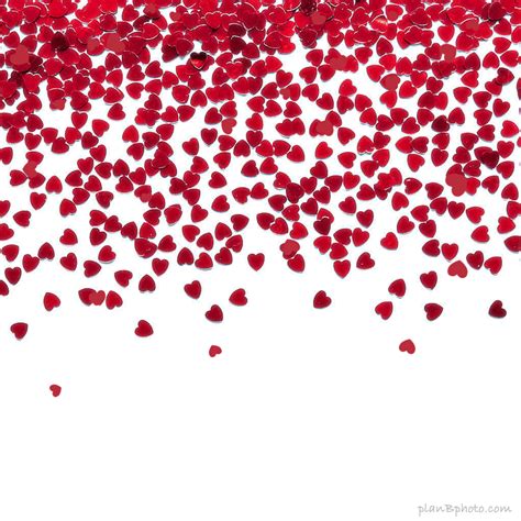 Red Hearts confetti rain falling Valentine's day animation - Plan B Photo