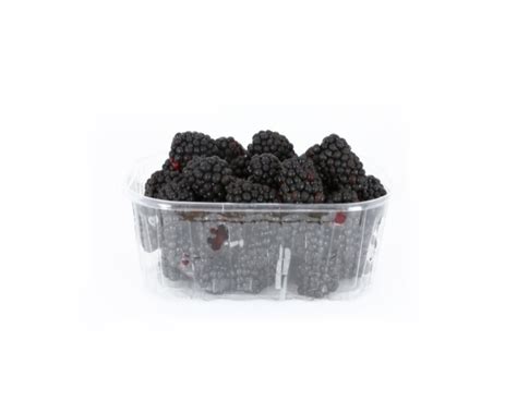 Buy Blackberries (Driscoll) - Fresco