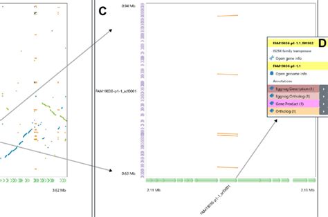 Dot plot view. (A) Search for query and reference genomes. (B) Output ...