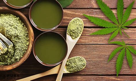 Hemp Protein: All You Need to Know - Purekana