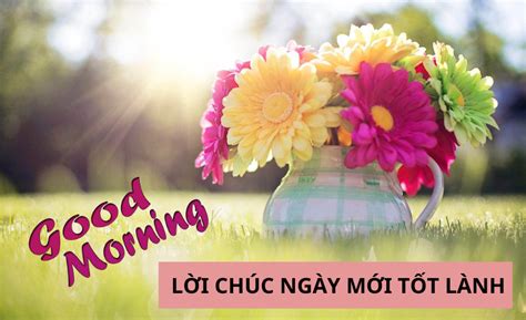 Tổng hợp lời chúc ngày mới tốt lành, vui vẻ, tràn đầy sức sống