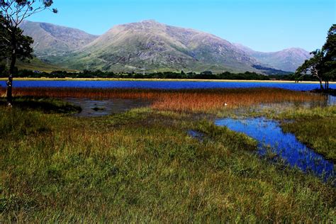 Loch Awe is a major loch (lake) in Argyll, West of Scotland.