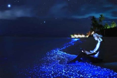 Update more than 69 wallpaper sea of stars maldives best - in.cdgdbentre