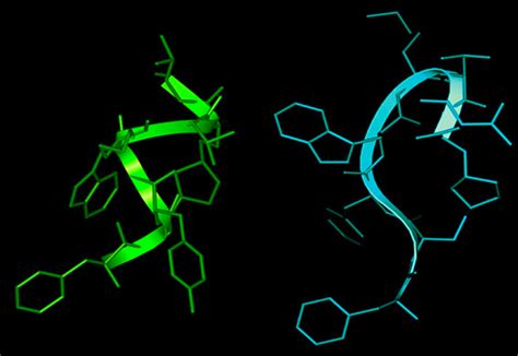 Octreotide Analogs – American Peptide Society