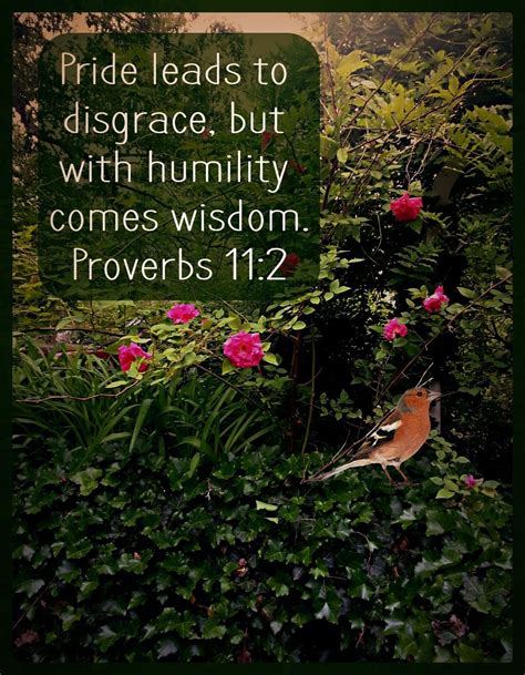 Humility Leads to Wisdom | Bible verse for today, Proverbs 11, Proverbs ...