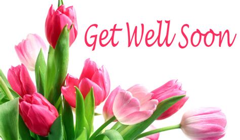 Flowers n Fruits Review: Get Well Soon Flowers