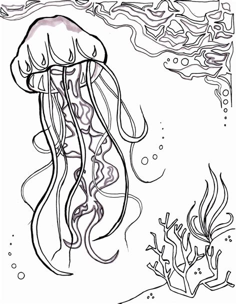 Underwater Animals Coloring Pages Best Of Jellyfish Ocean Ocean ...