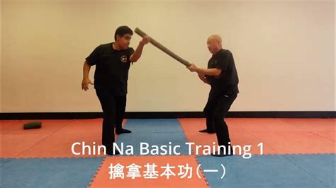 1"Mastering the Art of Chin Na: Essential Basic Training for Ultimate ...