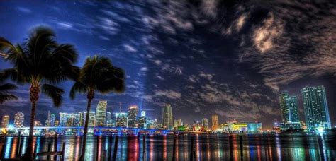 Miami Skyline at night | Miami skyline, Skyline, Miami beach florida