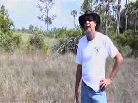 Skunk Ape Documentary (Florida's BIGFOOT/SASQUATCH) (Short Version ...