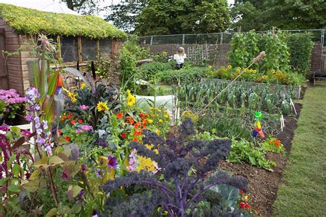 Pin on Allotments