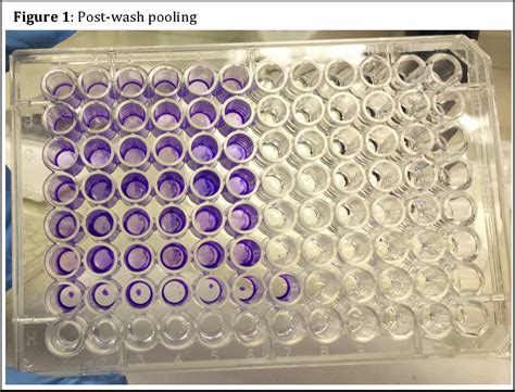 Figure 1 from Developing a Crystal Violet Assay to Quantify Biofilm ...