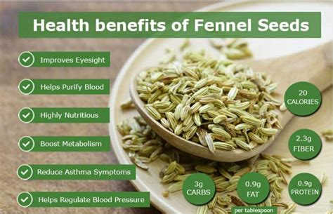 Fennel seeds 4oz - Let's Go Natural Trinidad & Tobago