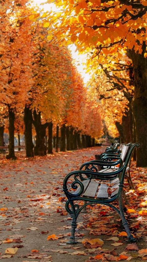 Best Wallpapers for Mobile Phones - Autumn Scenes