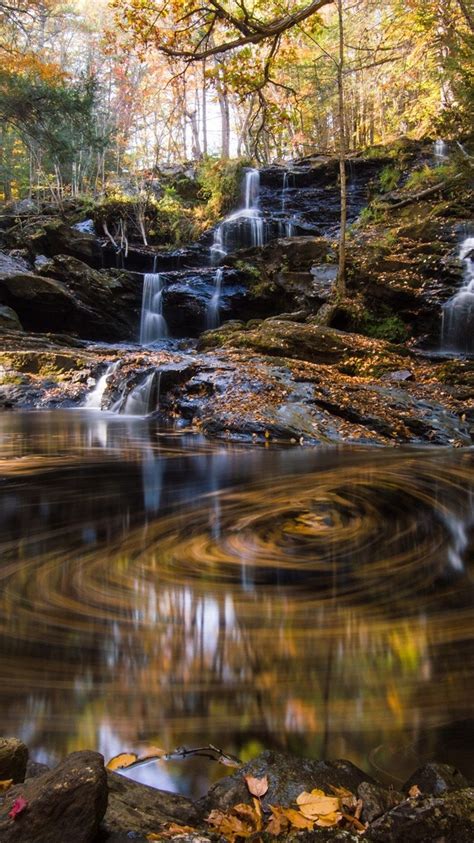 Wallpaper Forest, waterfall, pond, water, autumn 1920x1200 Picture, Image