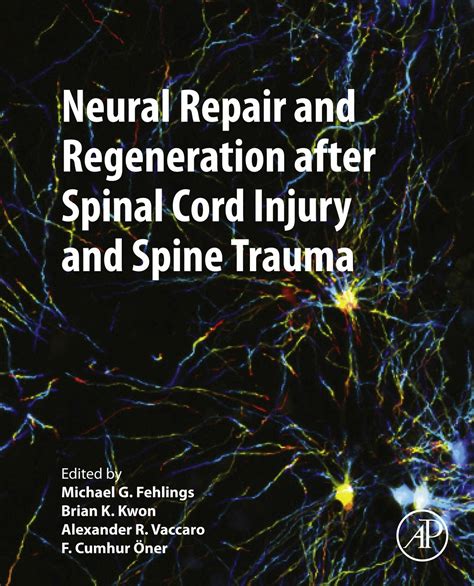 Neural Repair and Regeneration after Spinal Cord Injury and Spine ...