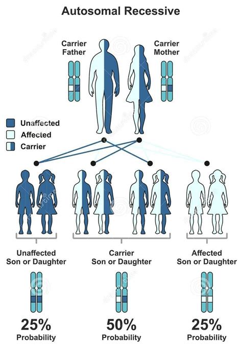 Consanguinity, Genetics and Art, Part 2 — Metis Genetics