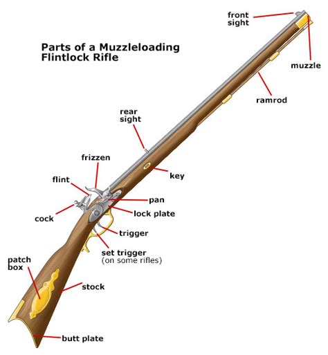 Rifled Muskets And Their History - Weapons From History