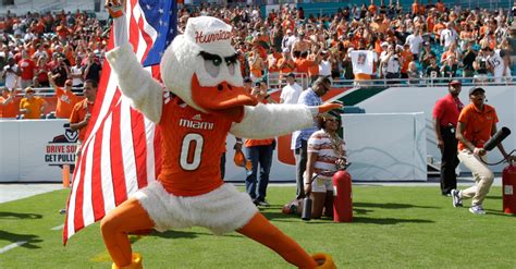 The History Behind Sebastian the Ibis: The Miami Hurricanes Mascot ...