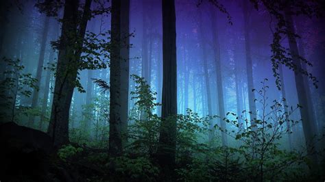 Green trees painting, dark, forest, nature, trees HD wallpaper ...