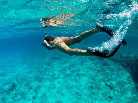 Snorkeling and Free diving in Turks & Caicos with Wake to Wake Watersports