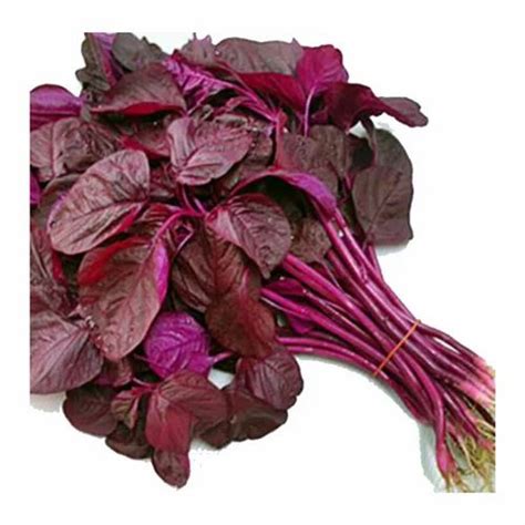 Amaranth Leaves at Rs 20/kilogram | Baldeobagh | Jabalpur | ID: 15448952730