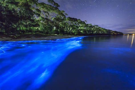 How to Photograph Bioluminescent Oceans | Andy Hutchinson