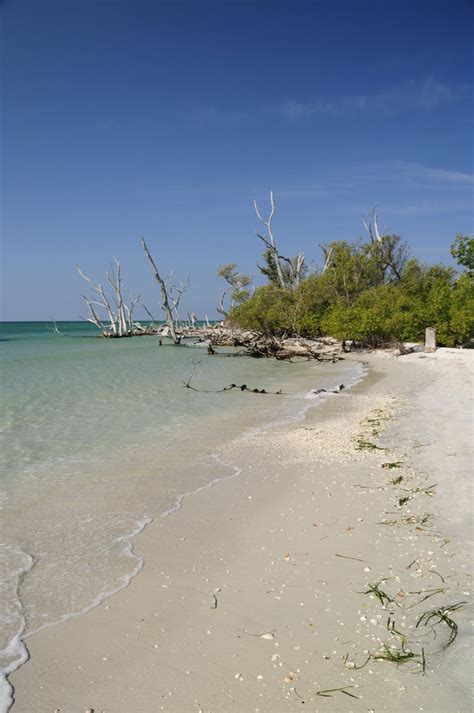 Capt. Brian's Observations On The Water: Cayo Costa Island