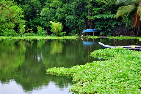 kerala-backwaters – Discovering India