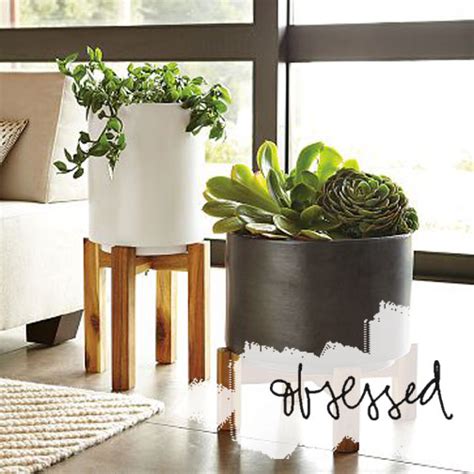 LUXE AND LACE: West Elm // Ceramic Planters