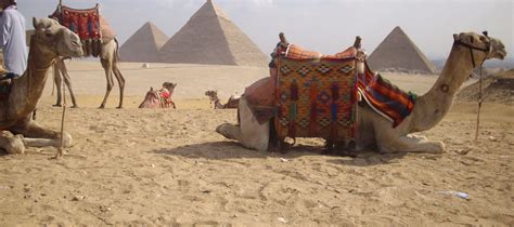 Camel Ride around the Pyramids - 2 Hours - Over Egypt Tours