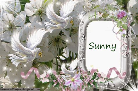 Sunny Name Wallpapers Sunny ~ Name Wallpaper Urdu Name Meaning Name ...