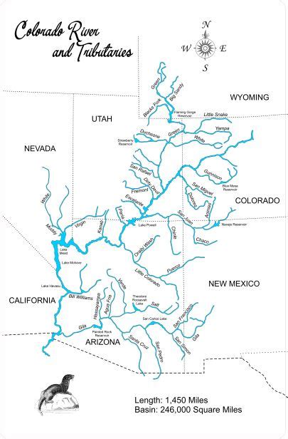 Colorado River and its Tributaries - Laser Cut Wood Map