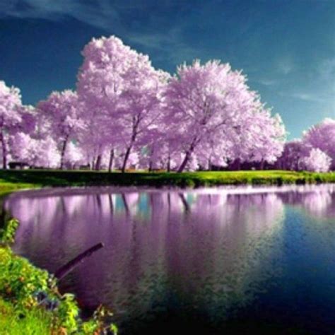 10 Latest Spring Nature Wallpapers High Resolution FULL HD 1080p For PC ...