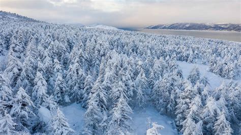 Temperature Dives to Record Lows in Eastern Siberia. Would you Believe ...