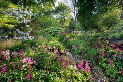 Melbourne Hall • Historic house and gardens in Derbyshire