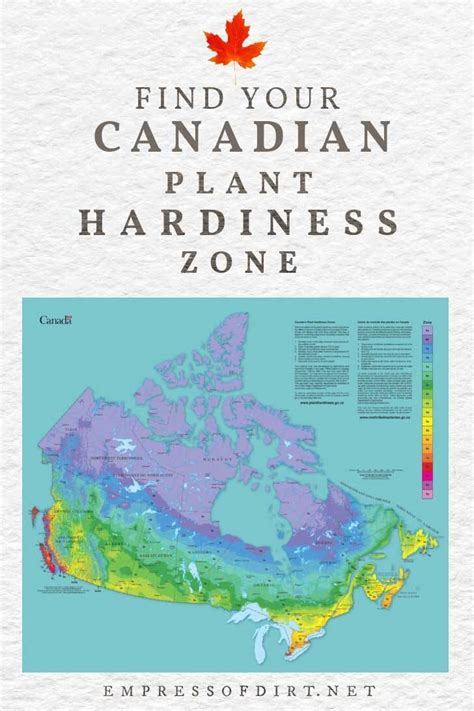 How to Find Your Canadian Plant Hardiness Zone — Empress of Dirt