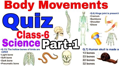 QUIZ / Body Movements / Class-6 SCIENCE/ NCERT extra Question Answers ...