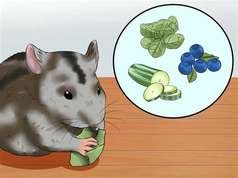 3 Ways to Prepare Carrots for Your Hamster - wikiHow