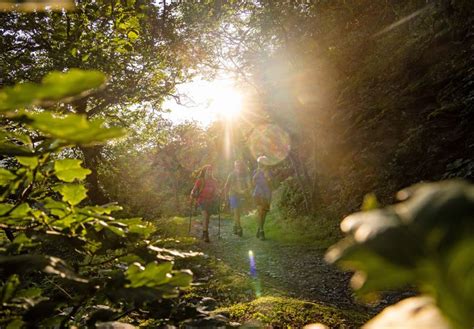 Magical Spessart Walking Tour | 10Adventures