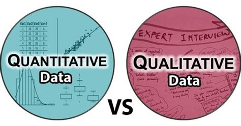 Quantitative vs Qualitative Data- Definition, 13 Differences, Examples