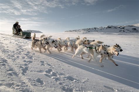 After The Dog Sled – Greenland Hut Life