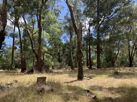 Langwarrin Flora and Fauna Reserve - Eco Explorers