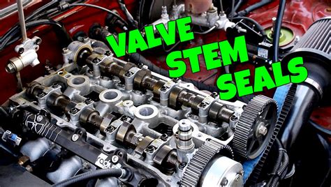 The ULTIMATE Guide To Replacing Valve Stem Seals The Easy Way – The Car ...