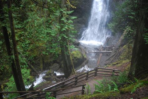 Lake Crescent and Marymere Falls Guided Hiking Tour - Olympic Hiking Co.