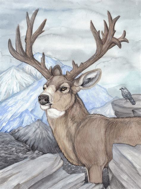 Deer Pencil Drawing at GetDrawings | Free download