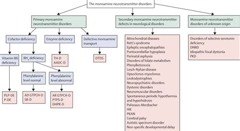 The monoamine neurotransmitter disorders: an expanding range of ...